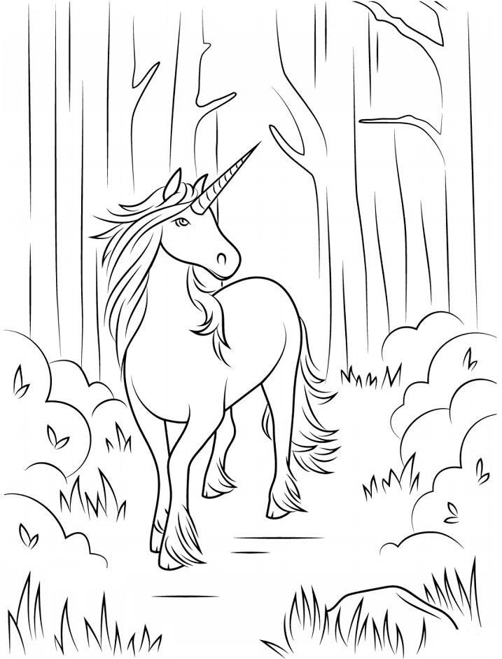 Unicorn Series3